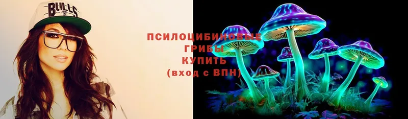 darknet формула  Бакал  Псилоцибиновые грибы Psilocybine cubensis  как найти закладки 